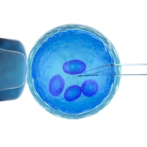 Icon of Infertility Services, Dr. Smita Deo's Vedika Clinic