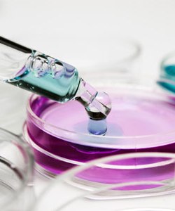 Laboratory Facilities at Swad Diabetic Care Center