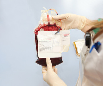 Icon of Blood Bank, Sparkle smiles