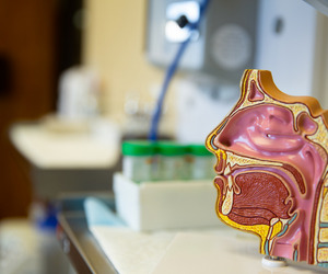 Ear, Nose, And Throat (ENT)