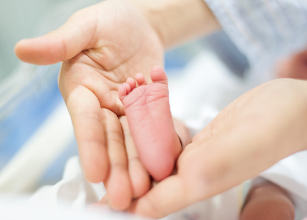 Obstetrics and Gynaecology Department