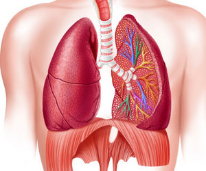 Respiratory Medicine, Ruby Hall - Matoshree Madanbhai Dhariwal Hospital