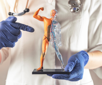 Vascular Surgery Department